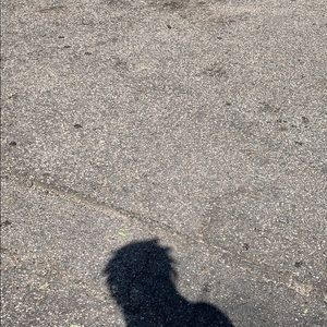 Meet your Posher, Darius